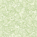Hydrangea Blue Seafoam