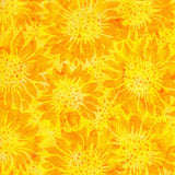 Batik Sunshine A
