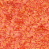 Batik Coral