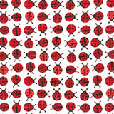 Urban Zoologie Red A