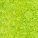 Tonga Batiks Lime D