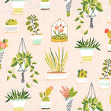 Pretty Plants Peach