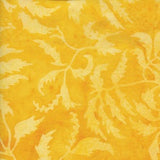 Batik Honey