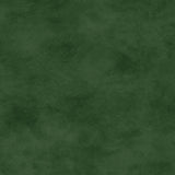 Shadow Play Evergreen