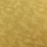 Tokyo Wheat