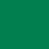 Designer Solids Fern