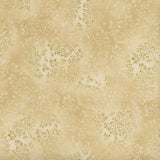 Fusions 7 Bone