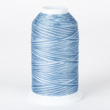 Blue and white variegated 40 wt thread on white cone spool with Surfer's Paradise multicolored pattern