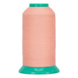 Perfection #720 - Pink Sand Cone