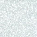 Winter Magic Frost/Silver