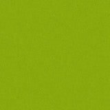 Phosphor 2021 Spring