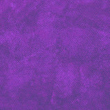 Dimples Purple Passion