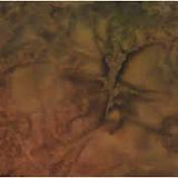 Paradise Batiks II Camo