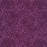 Focus II Plum