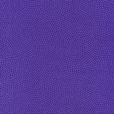 Dream Purple