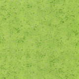 Pearle Kiwi