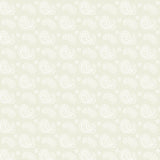 Essentials Cookie Dough Cream D