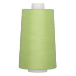 Light green polyester quilting thread on large white cone spool, 40 weight, 6000 yards