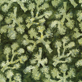 Bali Batik Handpaints Tavarua C