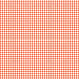 Gingham Check Light Coral