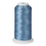 variegated blue polyester embroidery and quliting thread