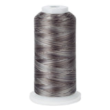 variegated light blue and maroon polyester embroidery and quliting thread