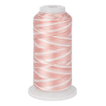 variations 626 polyester variegated thread for quilting and embroidery