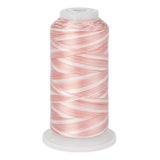 variations 626 polyester variegated thread for quilting and embroidery