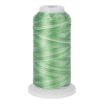 variations 627 polyester variegated thread for quilting and embroidery