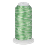 variations 627 polyester variegated thread for quilting and embroidery