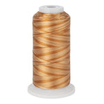 variations 628 polyester variegated thread for quilting and embroidery