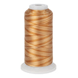 variations 628 polyester variegated thread for quilting and embroidery