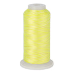 variations 629 polyester variegated thread for quilting and embroidery