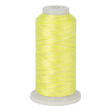 variations 629 polyester variegated thread for quilting and embroidery