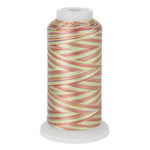 variations 632 polyester variegated thread for quilting and embroidery