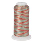 variations 633 polyester variegated thread for quilting and embroidery