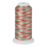 variations 633 polyester variegated thread for quilting and embroidery
