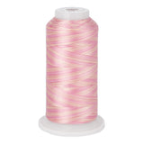 variations 634 polyester variegated thread for quilting and embroidery