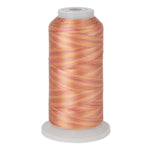 variations 635 polyester variegated thread for quilting and embroidery