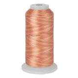 variations 635 polyester variegated thread for quilting and embroidery