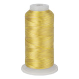 variations 637 polyester variegated thread for quilting and embroidery