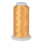 variations 638 polyester variegated thread for quilting and embroidery