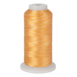 variations 638 polyester variegated thread for quilting and embroidery