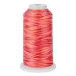 variquilt 6003 polyester variegated thread for quilting