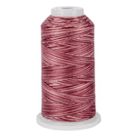 variquilt 6005 polyester variegated thread for quilting
