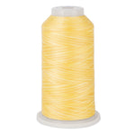 variquilt 6008 polyester variegated thread for quilting