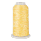 variquilt 6008 polyester variegated thread for quilting