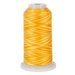 variquilt 6009 polyester variegated thread for quilting