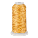 variquilt 6010 polyester variegated thread for quilting