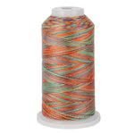 variquilt 6015 polyester variegated thread for quilting